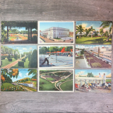 Ben je dol op deltiologie?  – Brieven in de tijd